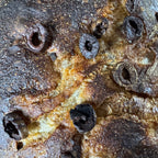 Oliven Ciabatta von Jochen Gaues mit goldbrauner knuspriger Kruste und rustikaler Oberfläche
