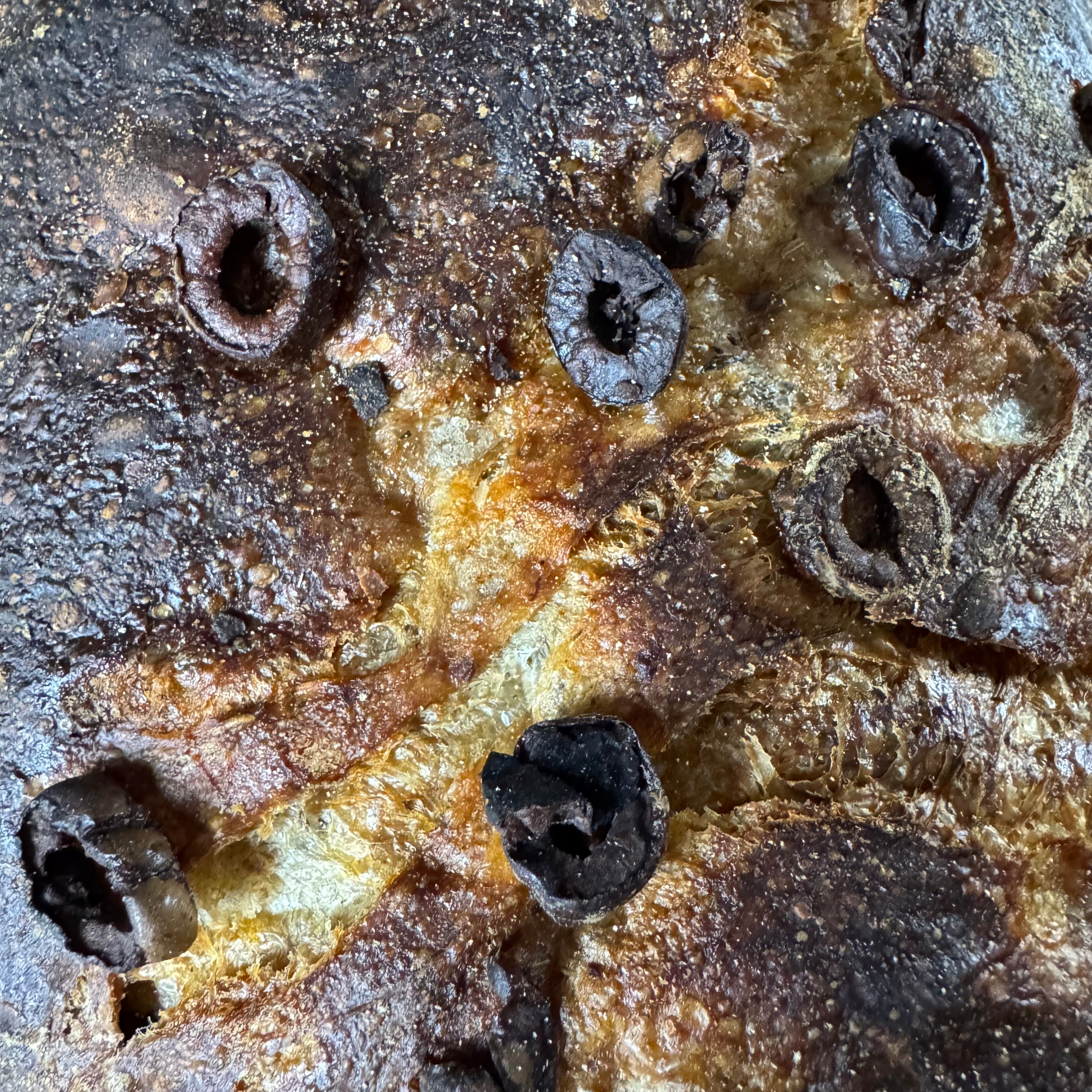 Oliven Ciabatta von Jochen Gaues mit goldbrauner knuspriger Kruste und rustikaler Oberfläche