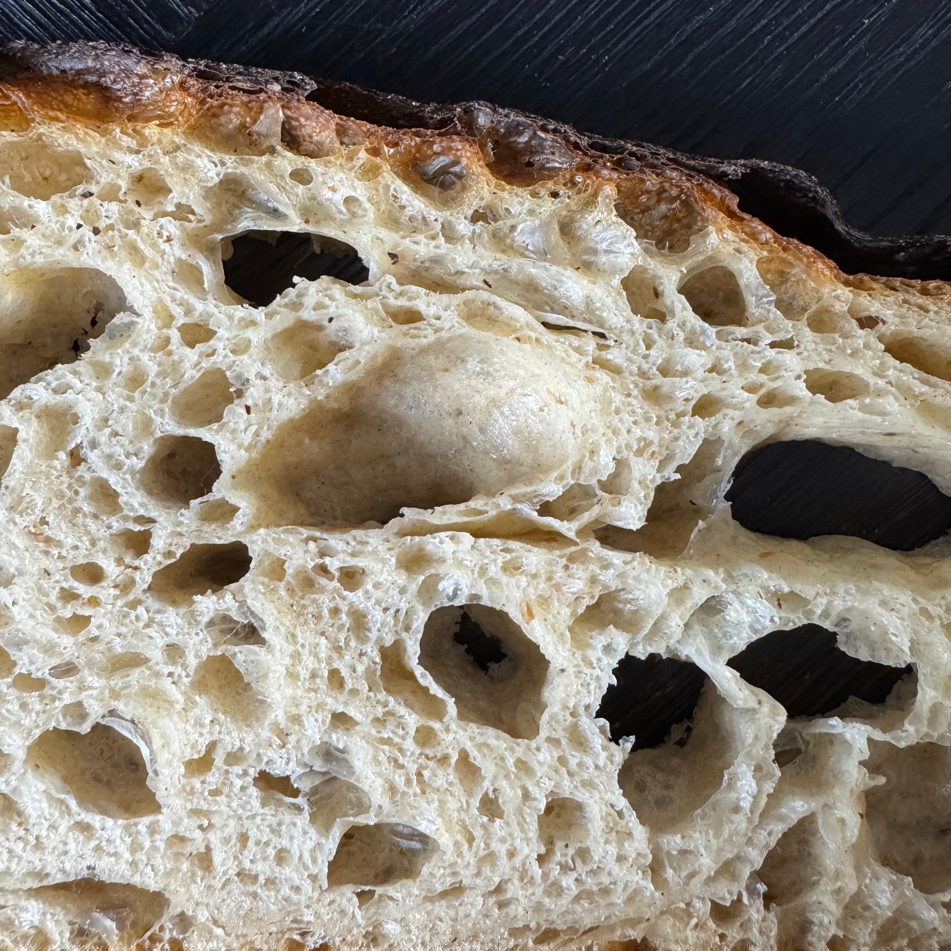 Detailaufnahme vom Sylter Brot mit grober Porung, heller Krume und knuspriger dunkler Kruste von Jochen Gaues